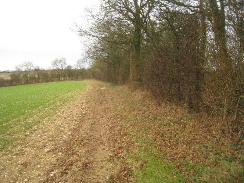 Hampshire Downs