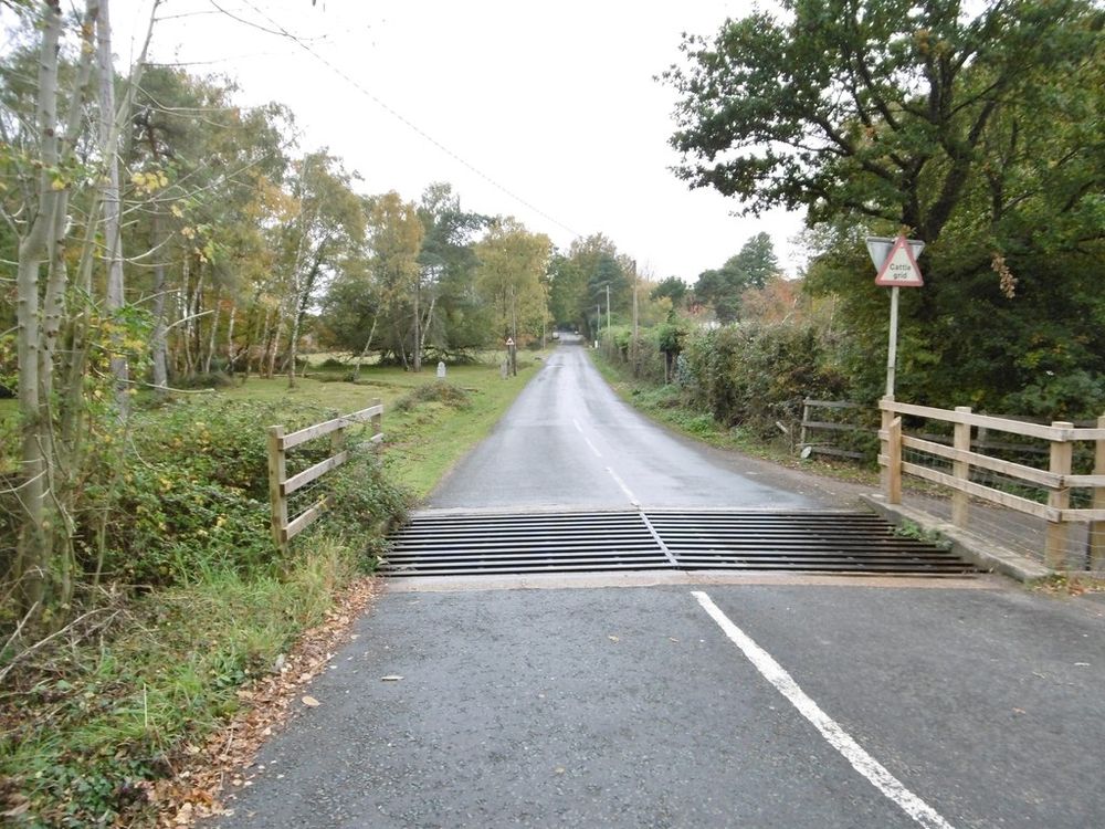 Blackhill, cattle grid
