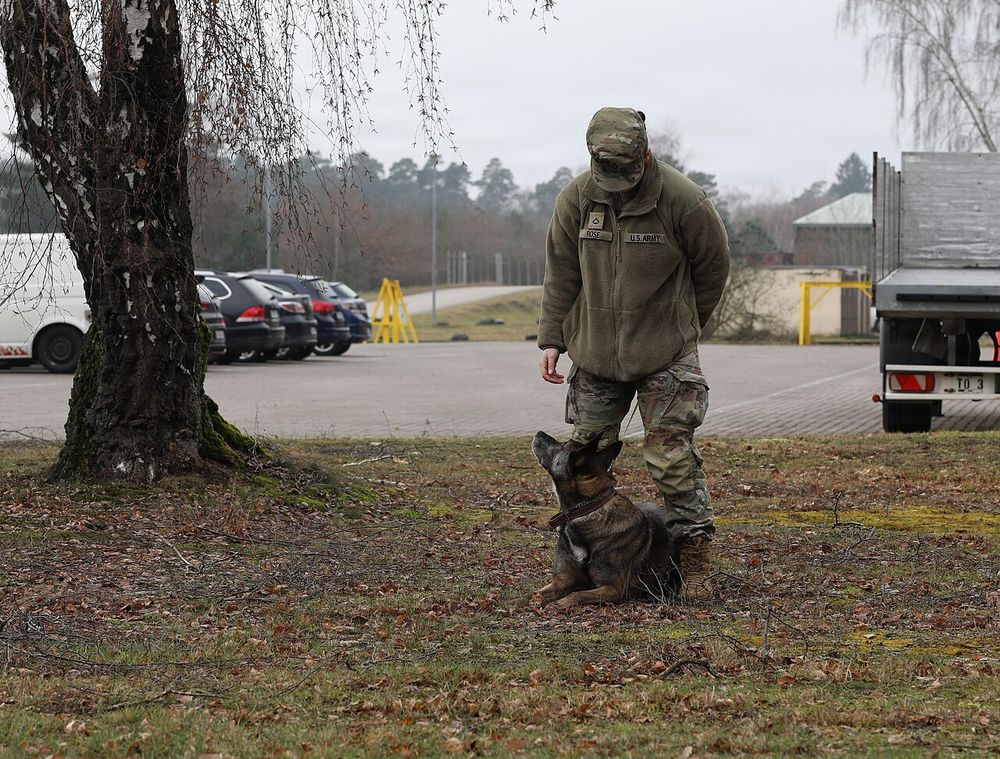 U.S. Army Pfc. Victoria Rose, a military working dog handler 100th Military Working Dog Detachment, gives commands to her military working dog Kimbo at Ammunition Depot Europe–Miesau, Germany Feb. 20, 2026. These training and bonding exercises help maintain the dog’s readiness, obedience, and operat